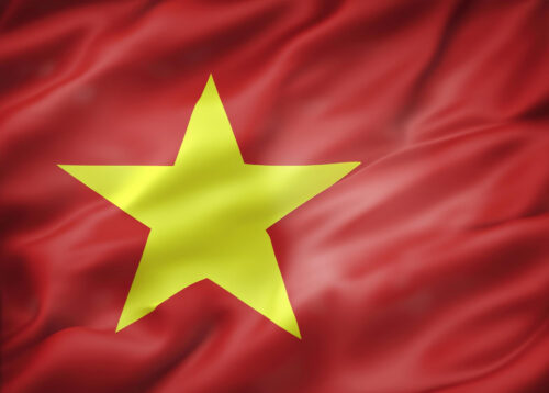 Expats in Vietnam