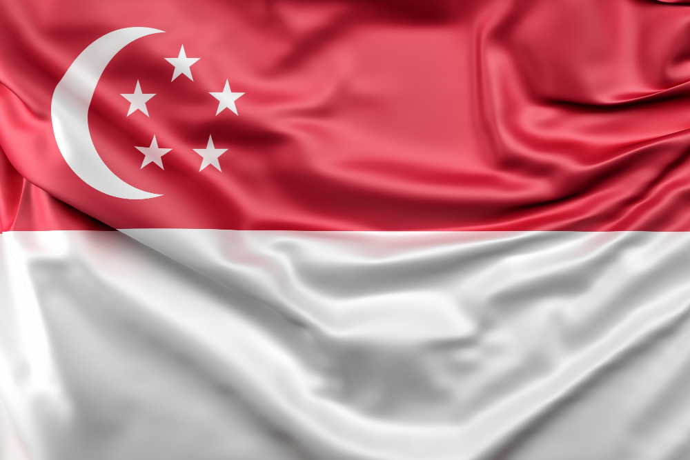 Expats in Singapore